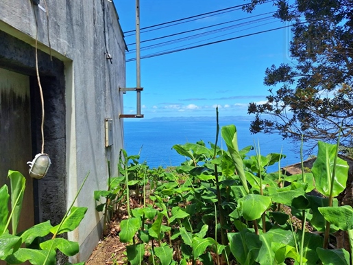 Maison A Vendre - Villa avec vue sur la mer - São Roque do Pico, Île de Pico, Açores