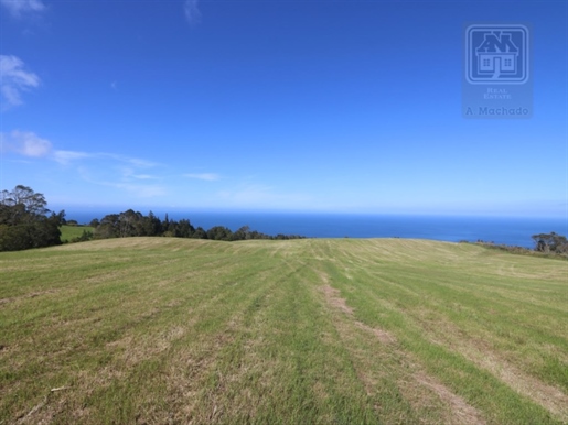 Vente De Terres Rustiques/Agricoles - Santo António, Ponta Delgada, Île de São Miguel, Açores