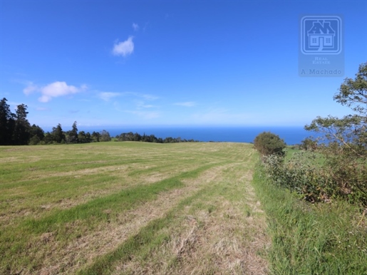 Verkoop Van Rustieke/Landbouwgrond - Santo António, Ponta Delgada, São Miguel Island, Azoren
