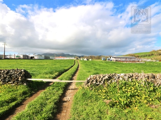 Verkauf Von Grossem Grundstück - Arrifes, Ponta Delgada, Insel São Miguel, Azoren