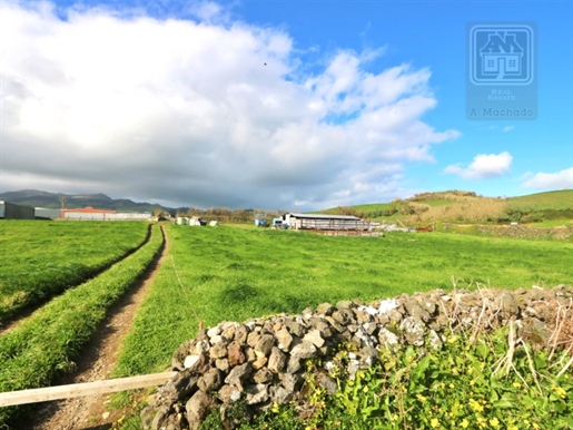 Vente De Vastes Terres - Arrifes, Ponta Delgada, Île de São Miguel, Açores