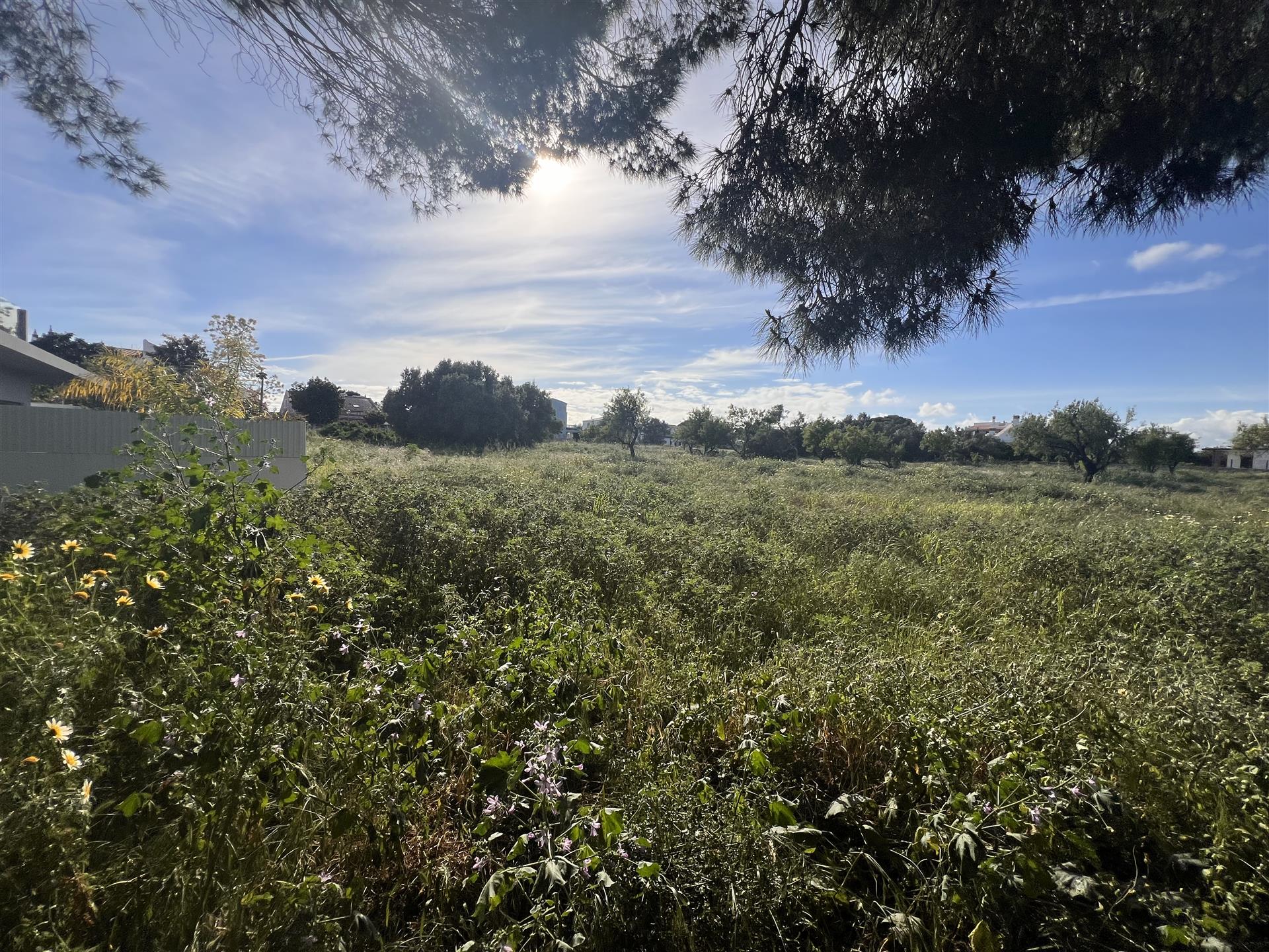 Três Lotes de Terreno Para Construção, Junto Há Ria Formosa.