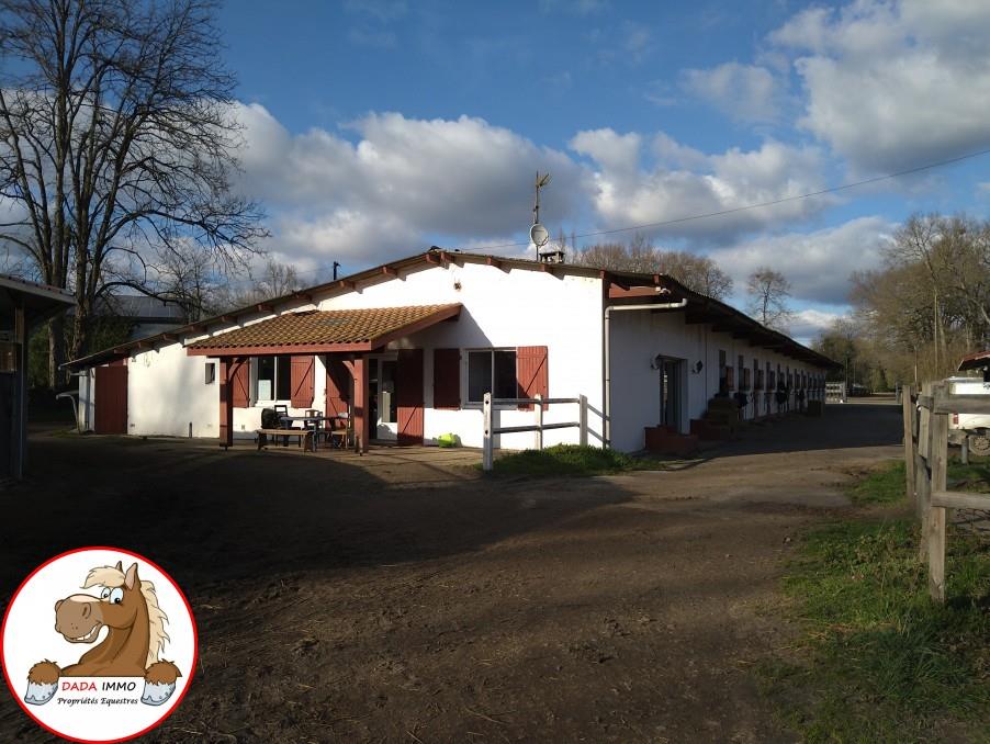Stables and residential house on a training centre