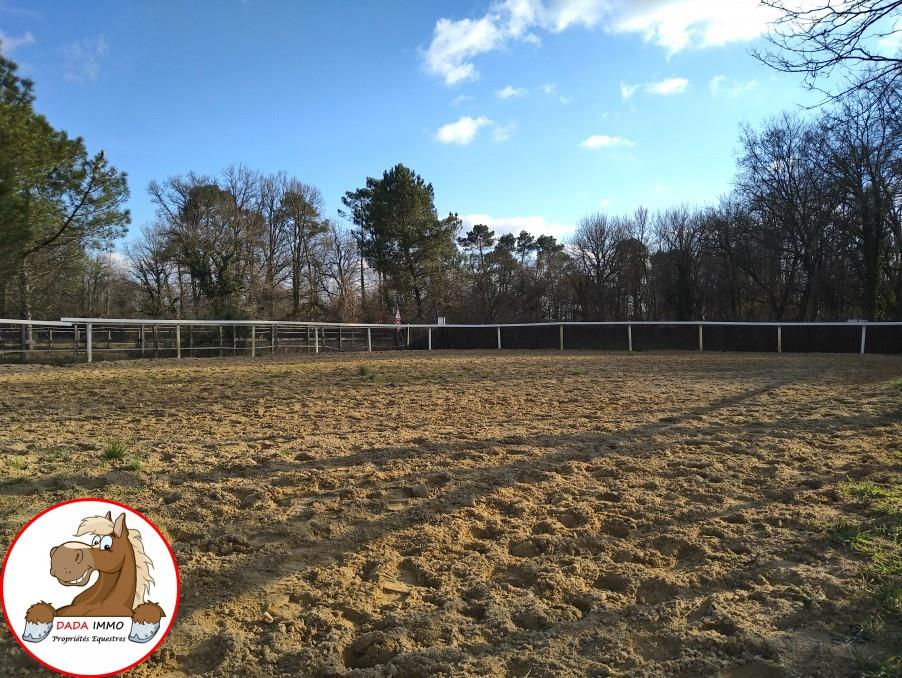 Stables and residential house on a training centre