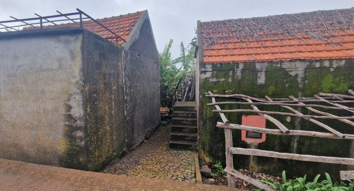 Purchase: House (9350)