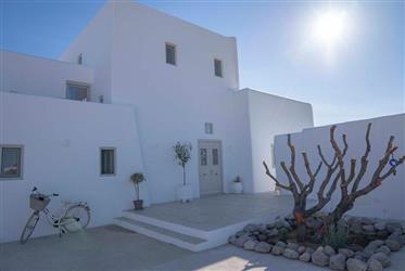 Luxury Villa 370 Tm Antiparos Cyclades