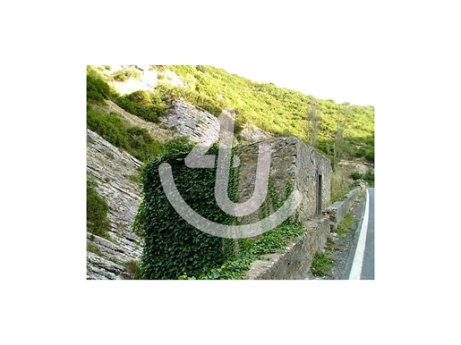 Advert picture