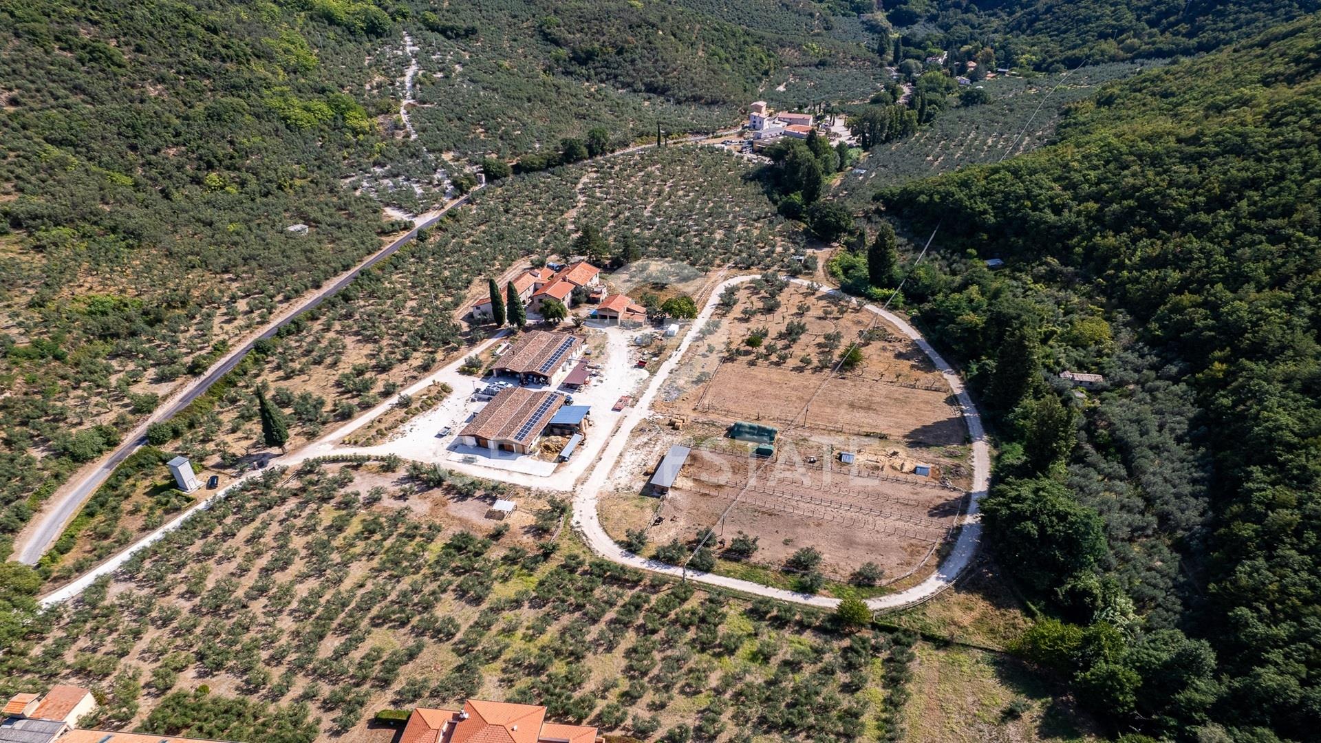 Azienda Agricola Altolina