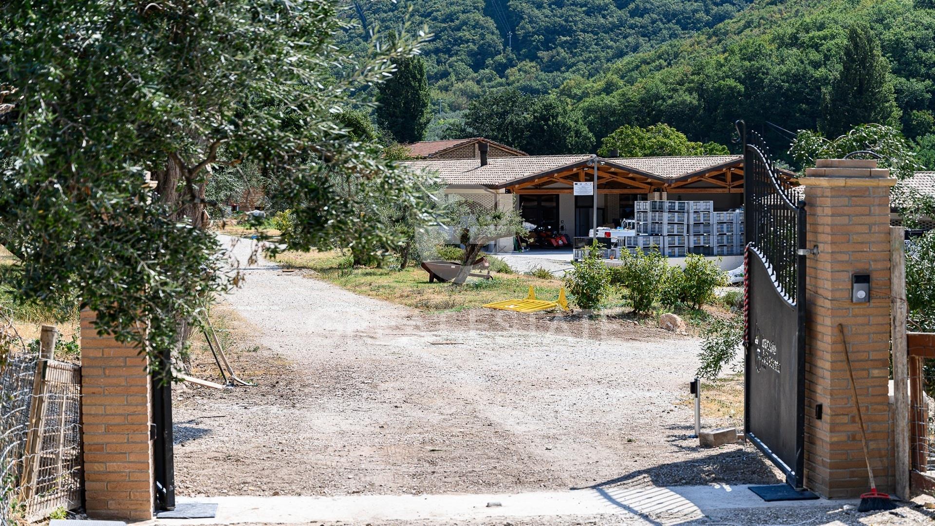 Azienda Agricola Altolina
