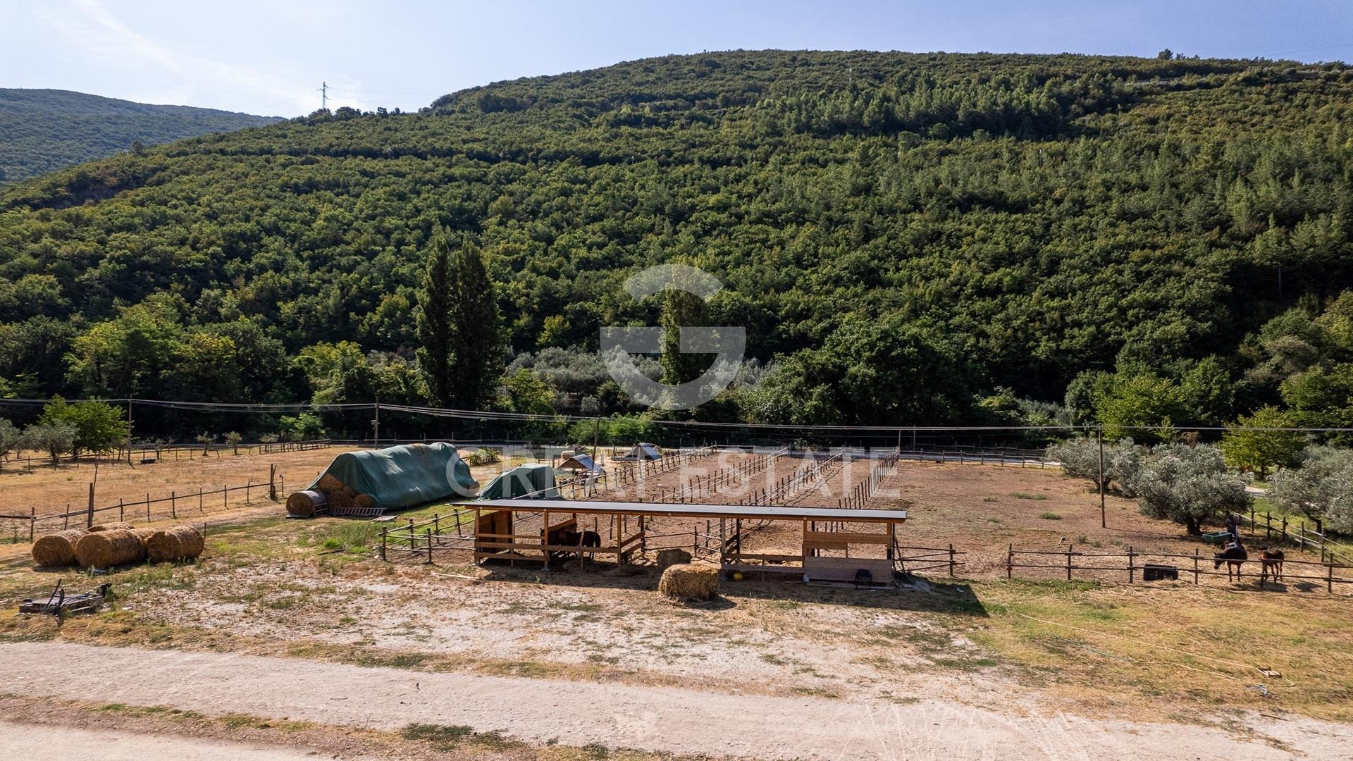 Azienda Agricola Altolina