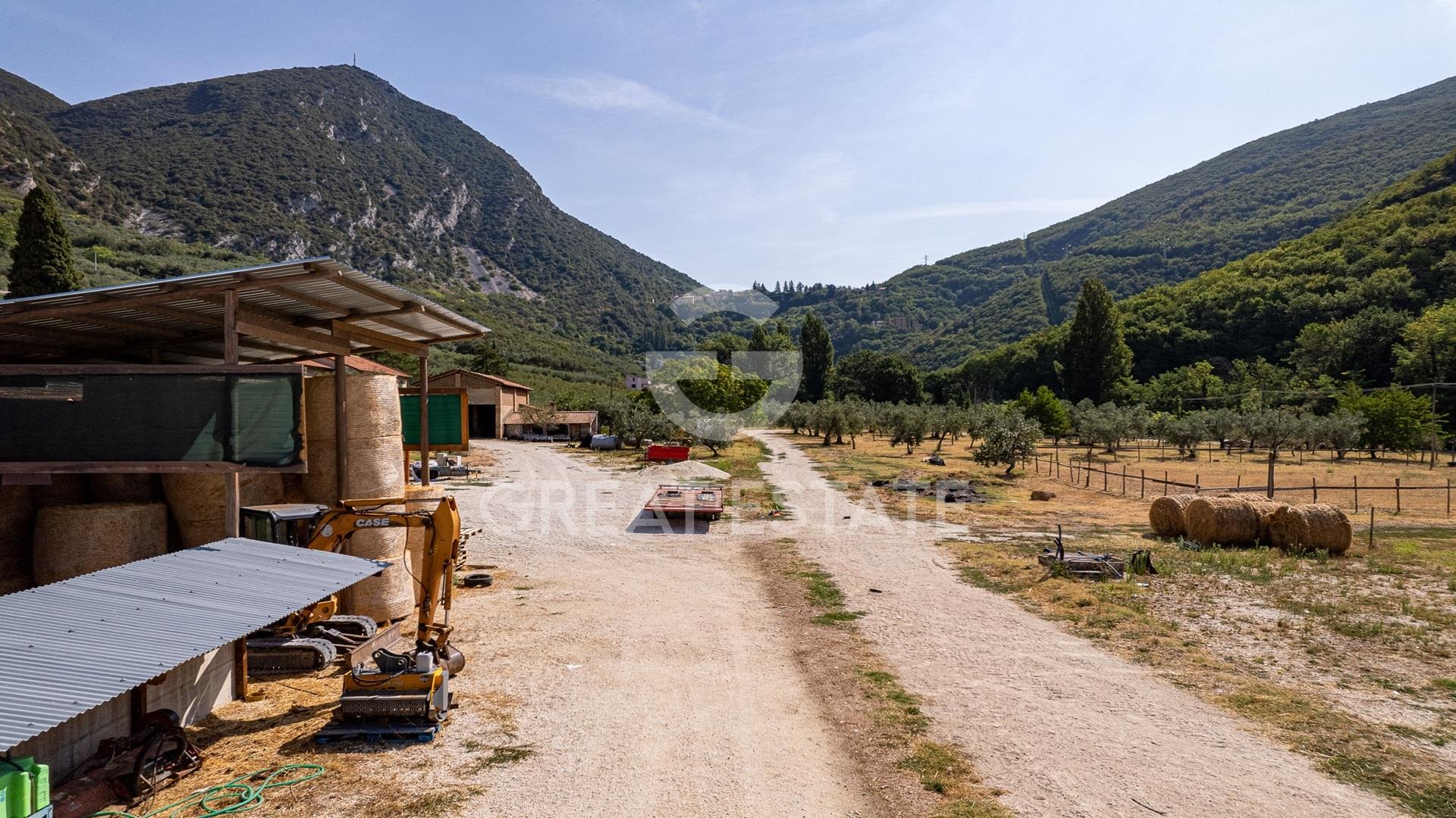 Azienda Agricola Altolina