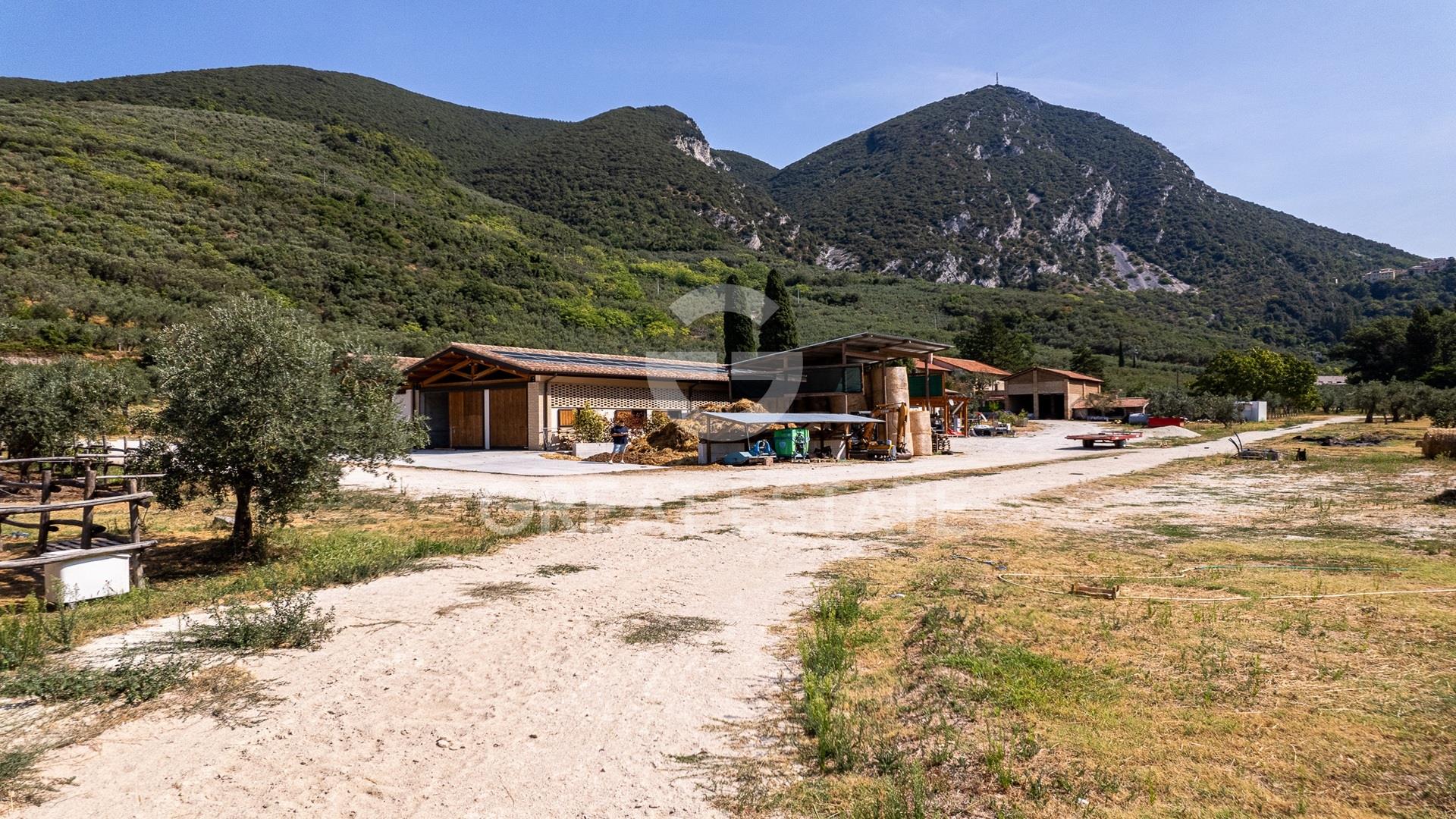 Azienda Agricola Altolina