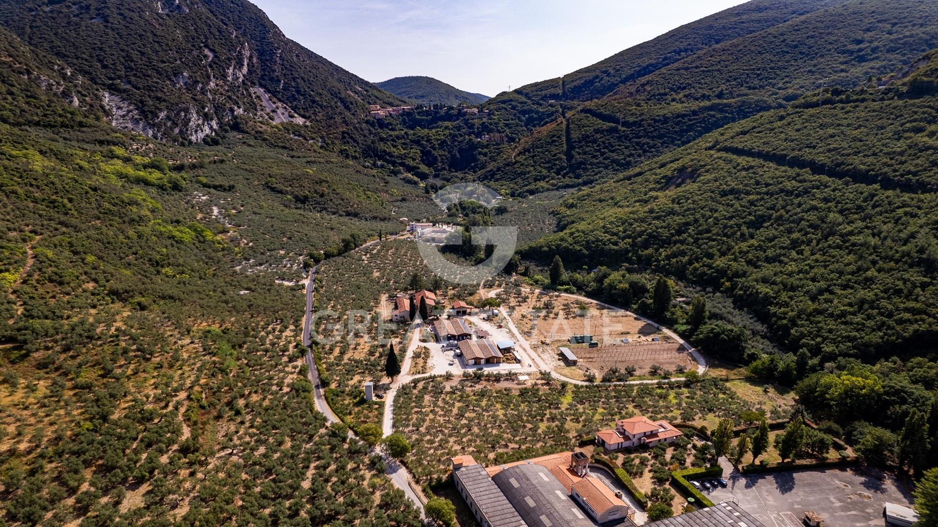 Azienda Agricola Altolina