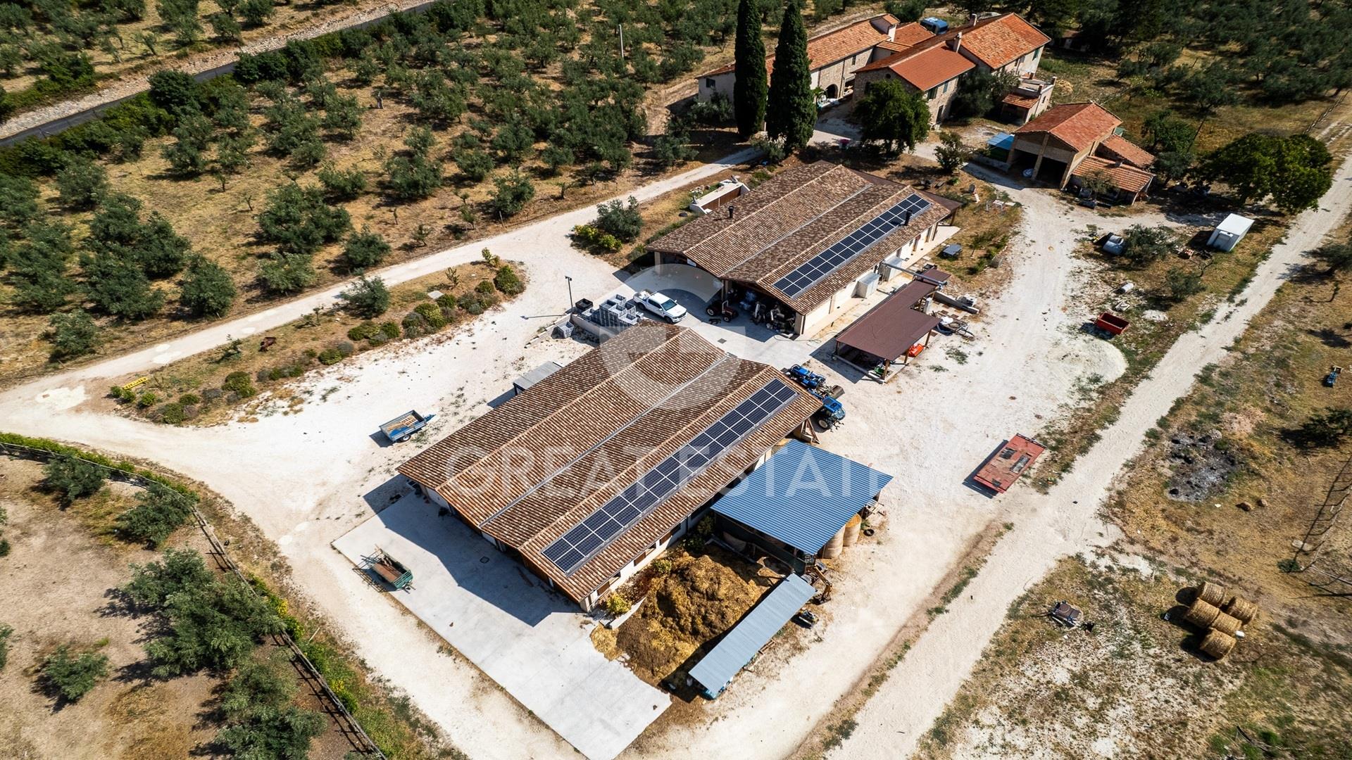Azienda Agricola Altolina