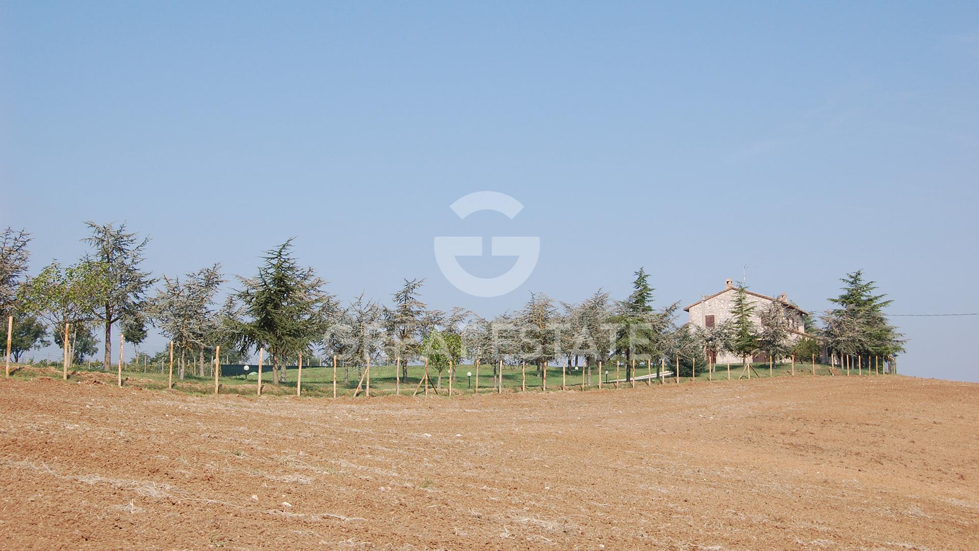 Purchase: House (05020)