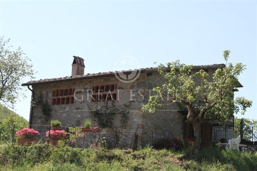 Bauernhaus Chianti