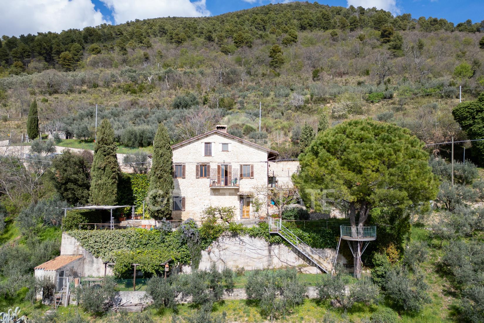 Rustico della terrazza