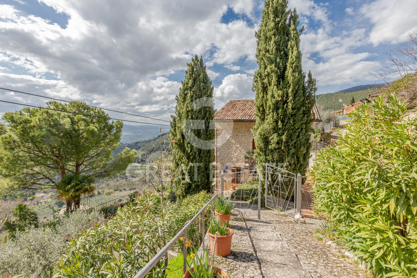 Rustico della terrazza