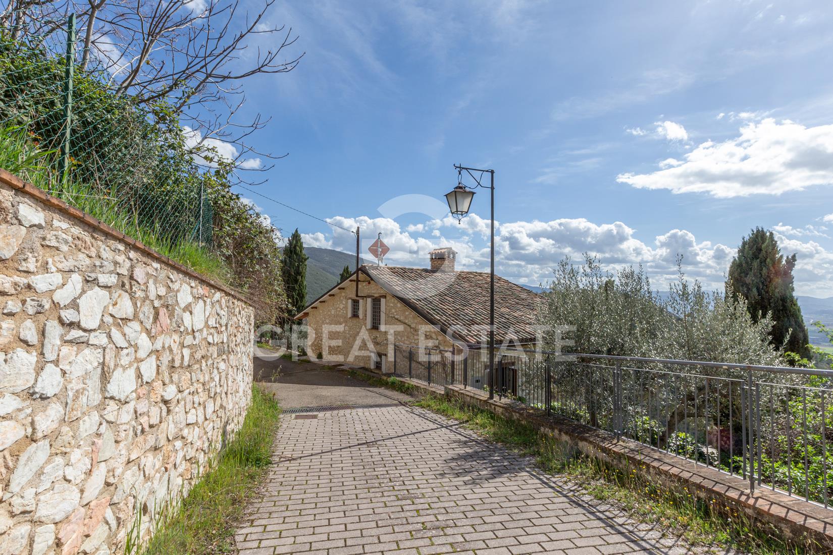 Rustico della terrazza