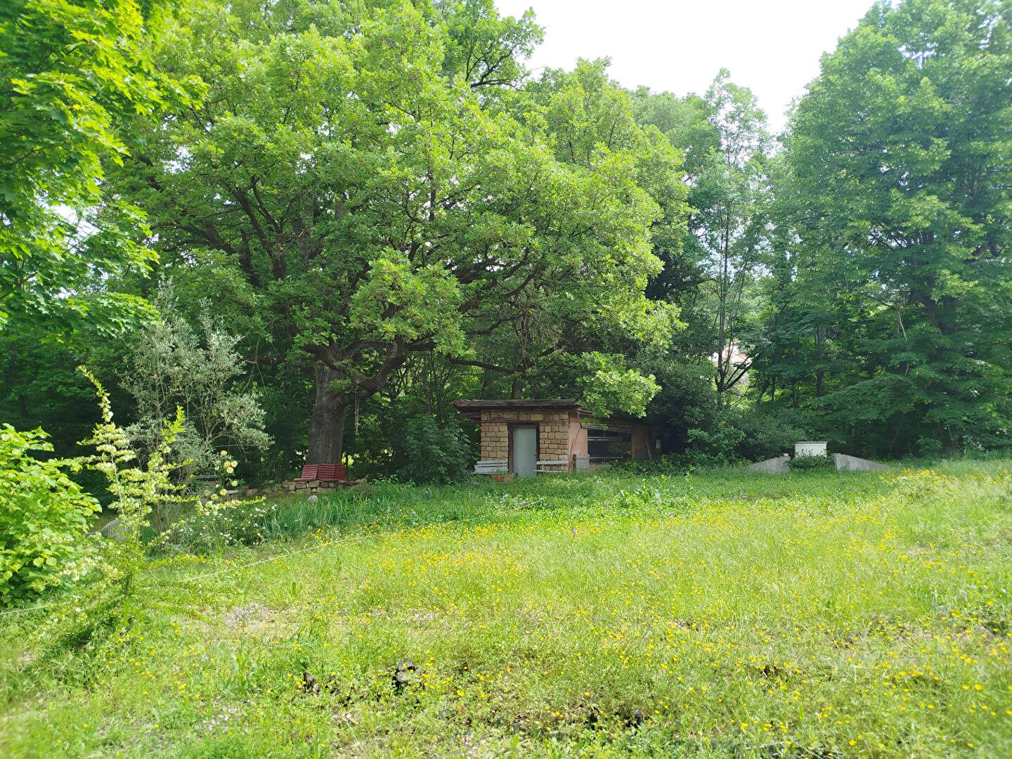 Purchase: Land (04000)