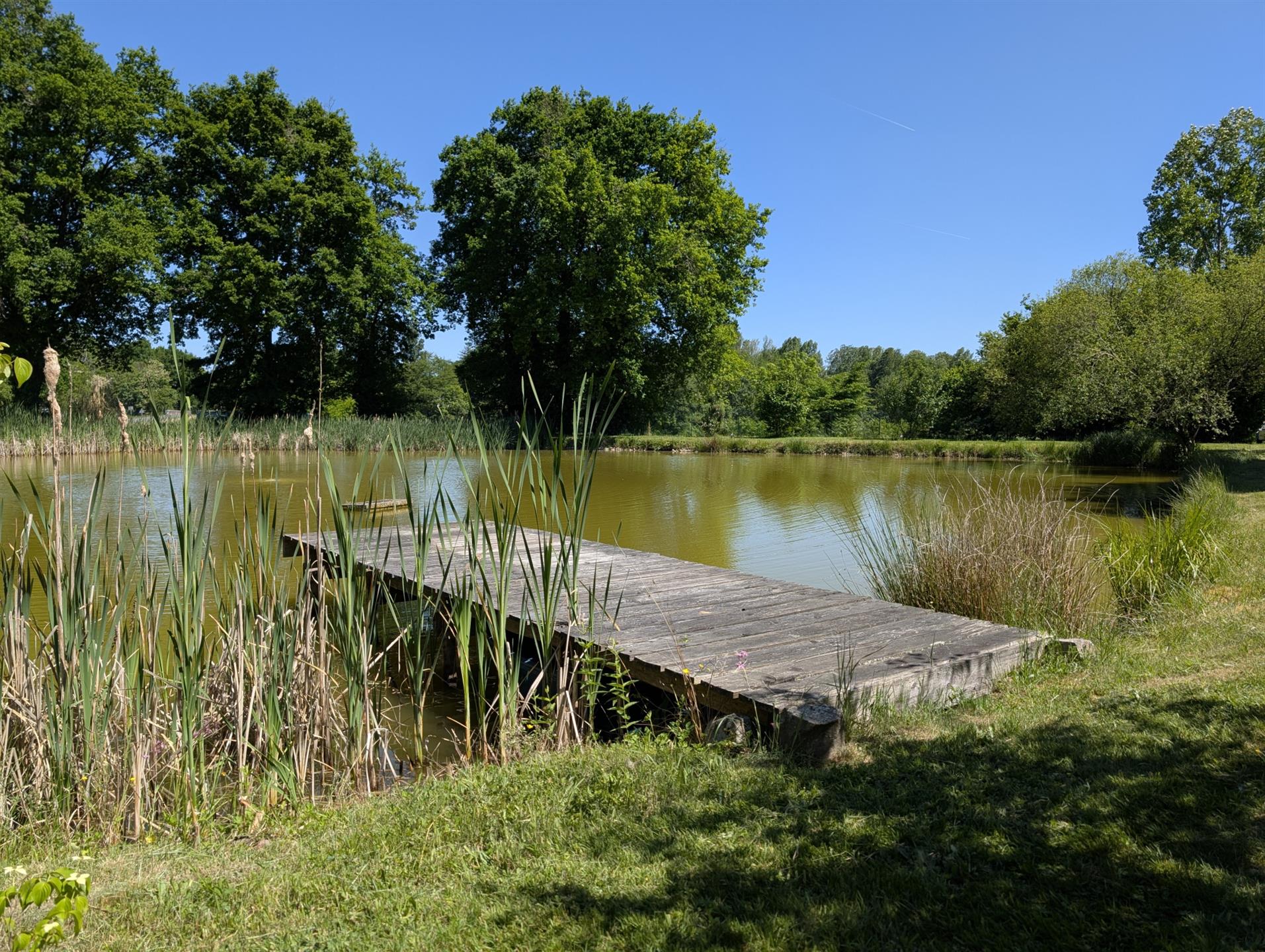 Vente Maison Sologne