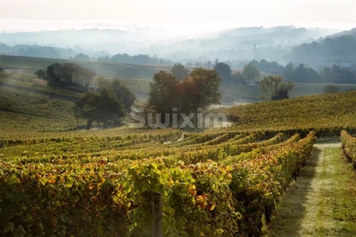 Gironde - 1700-talets slott + vingård