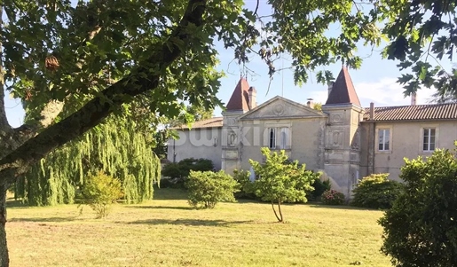 Gironde - 18e eeuws kasteel + wijngaard