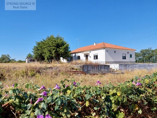 Property in Palmela with a plot of 7.500m2, next to the international school with an old house and b