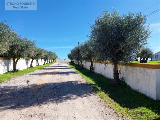 Fantastique propriété (Herdade) située à côté de Portalegre (7 km), avec un magnifique paysage de l'