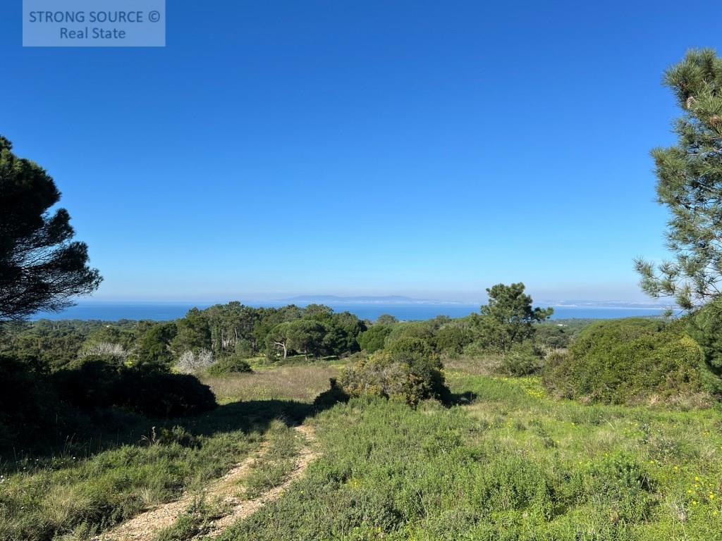 Agricultural land, with 16,750.00 m2 (1.675 ha), with fantastic sea views, near Azóia, with access v