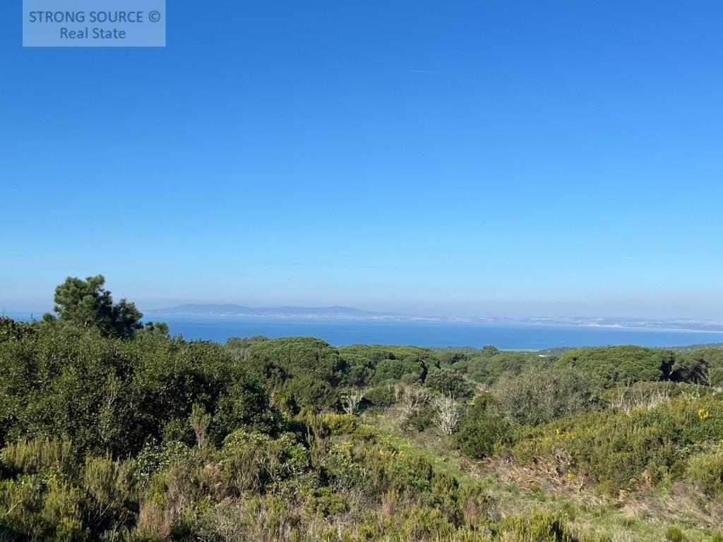Agricultural land, with 16,750.00 m2 (1.675 ha), with fantastic sea views, near Azóia, with access v