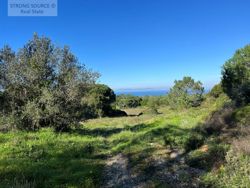 Agricultural land, with 16,750.00 m2 (1.675 ha), with fantastic sea views, near Azóia, with access v