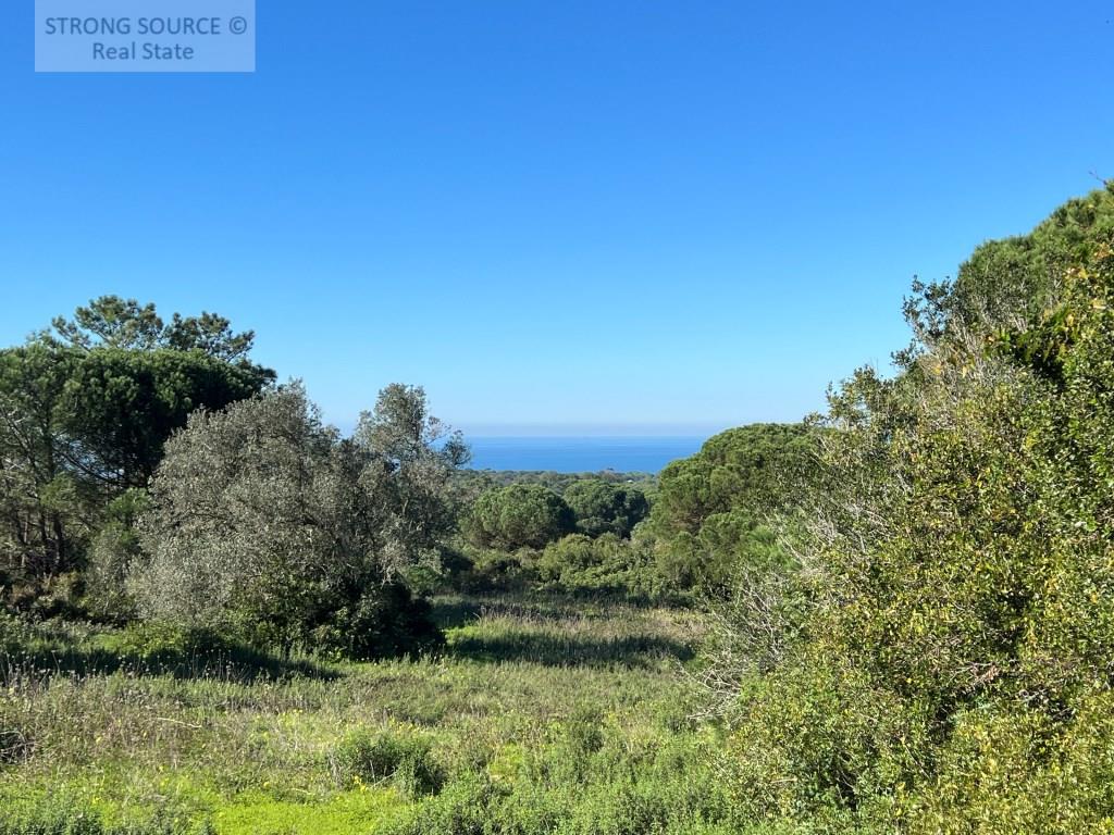 Agricultural land, with 16,750.00 m2 (1.675 ha), with fantastic sea views, near Azóia, with access v