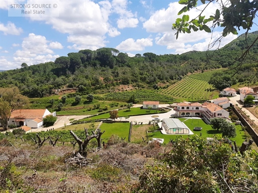 Fantastic property (farm and rural tourism) with 93.17 ha, in the Arrábida Natural Park. The farm ha