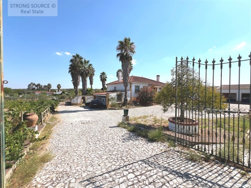 Villa en venta cerca de Évora, con piscina, anexo de 60 m2 con chimenea, viñedo, 2 perforaciones art