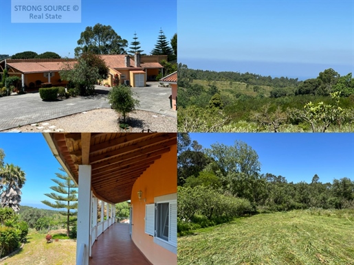 Beautiful property in Sesimbra, with 13,750 m2 with a villa, sea views and very fertile land, next t