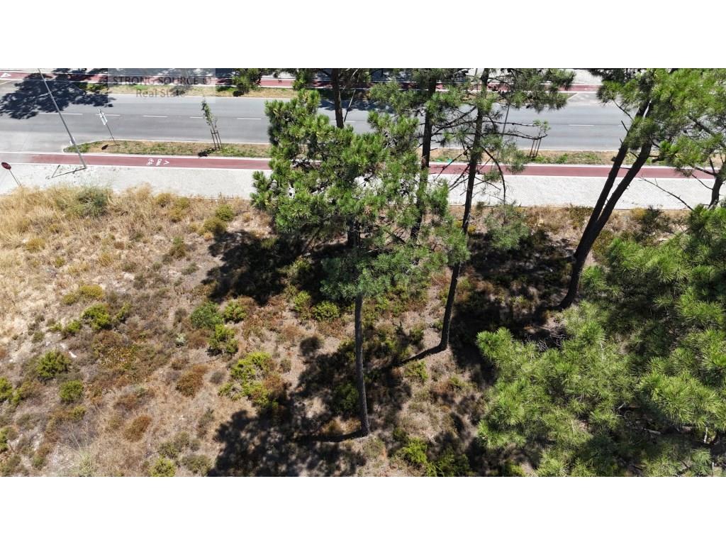 Fantastique terrain urbain à Aroeira, avec 5200 m2, excellent pour la construction d'un immeuble, de