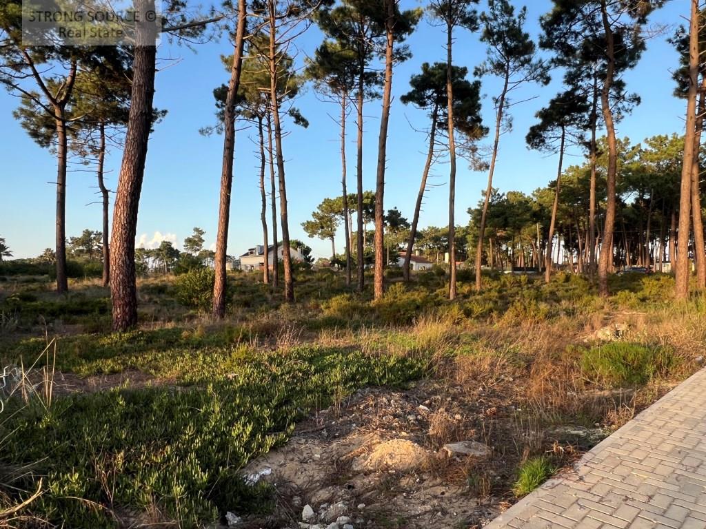 Fantastique terrain urbain à Aroeira, avec 5200 m2, excellent pour la construction d'un immeuble, de