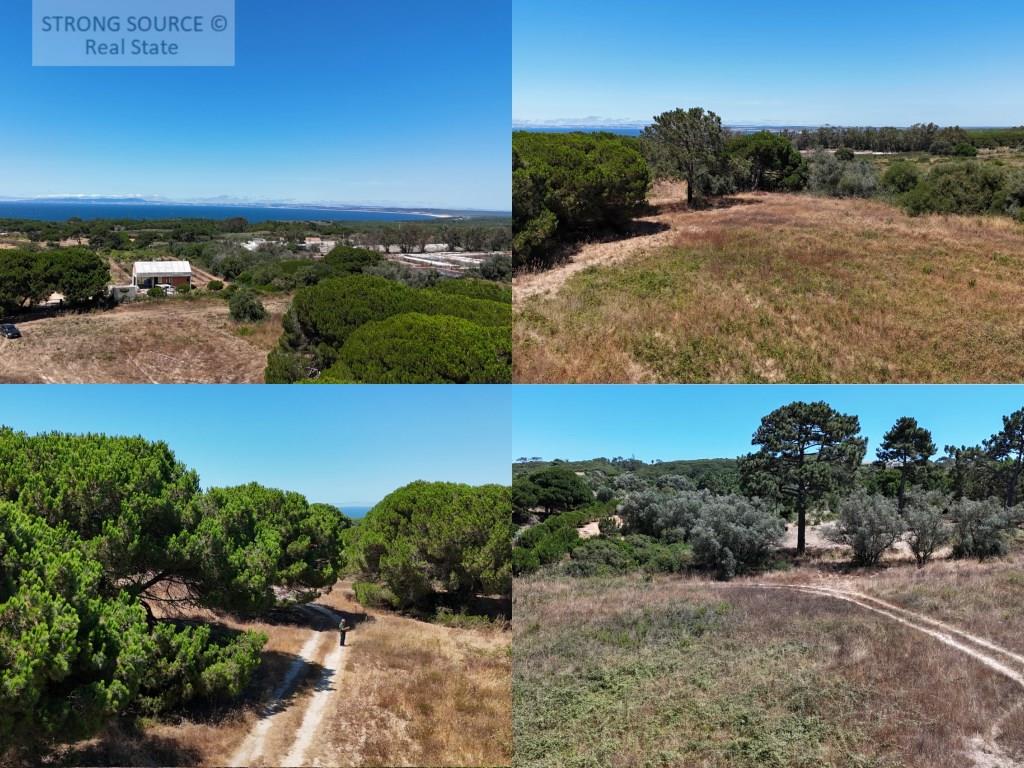 Agricultural land for sale in Azóia, Sesimbra, with 15,600.00 m2, 5 minutes from Foz beach, flat, ne