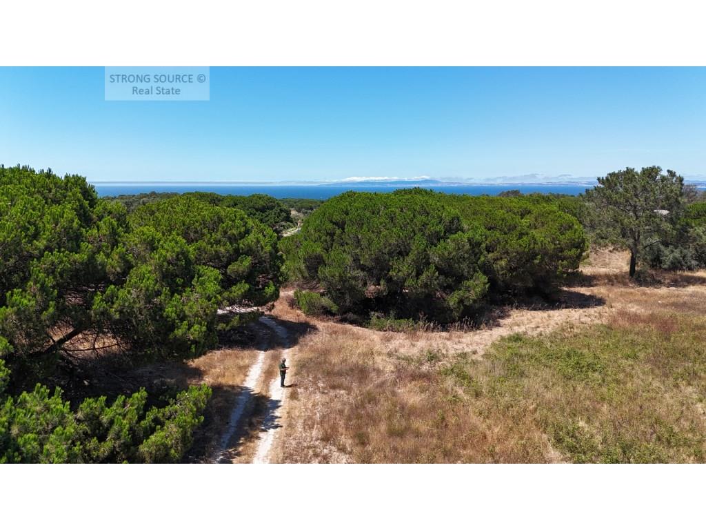Agricultural land for sale in Azóia, Sesimbra, with 15,600.00 m2, 5 minutes from Foz beach, flat, ne