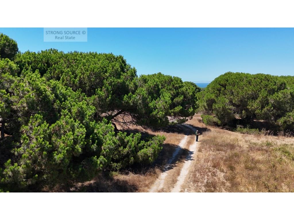 Agricultural land for sale in Azóia, Sesimbra, with 15,600.00 m2, 5 minutes from Foz beach, flat, ne