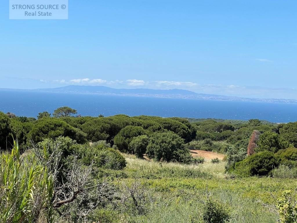 Agricultural land, not buildable, with 5,000.00 m2, fantastic sea view, in Azóia - Sesimbra, very su