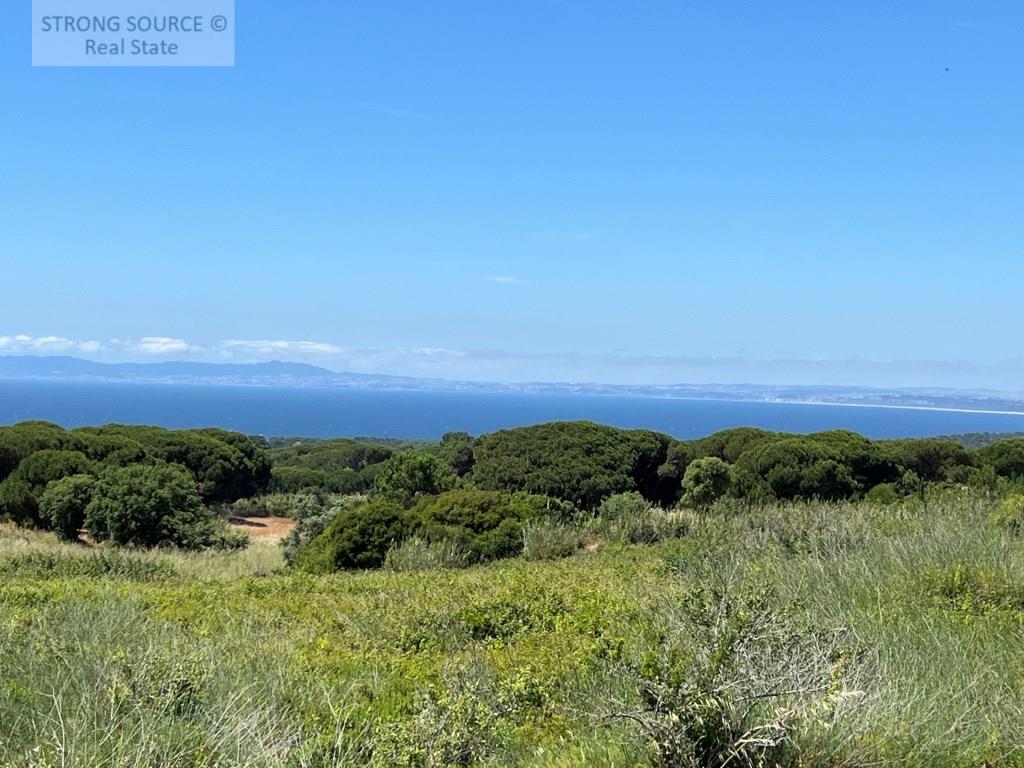 Agricultural land, not buildable, with 5,000.00 m2, fantastic sea view, in Azóia - Sesimbra, very su