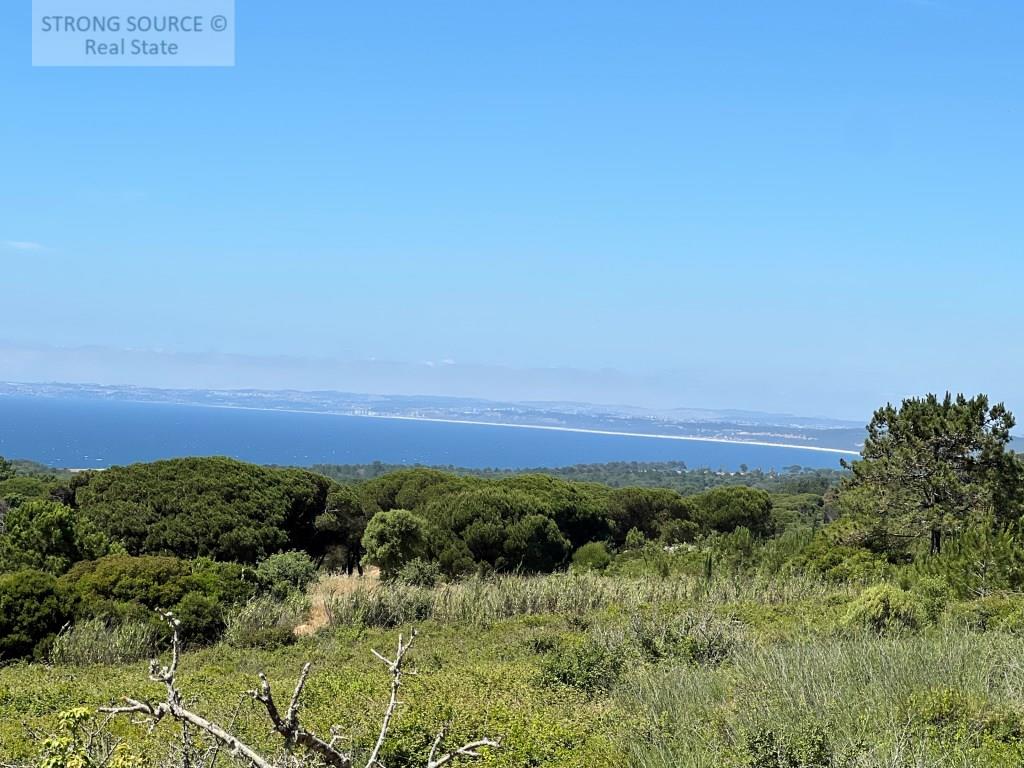 Agricultural land, not buildable, with 5,000.00 m2, fantastic sea view, in Azóia - Sesimbra, very su