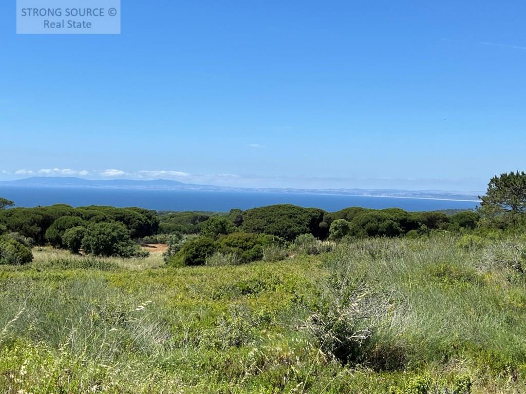 Agricultural land, not buildable, with 5,000.00 m2, fantastic sea view, in Azóia - Sesimbra, very su