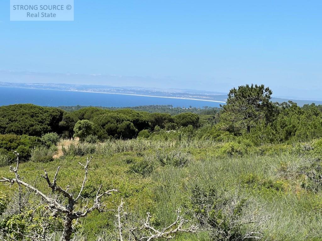 Agricultural land, not buildable, with 5,000.00 m2, fantastic sea view, in Azóia - Sesimbra, very su