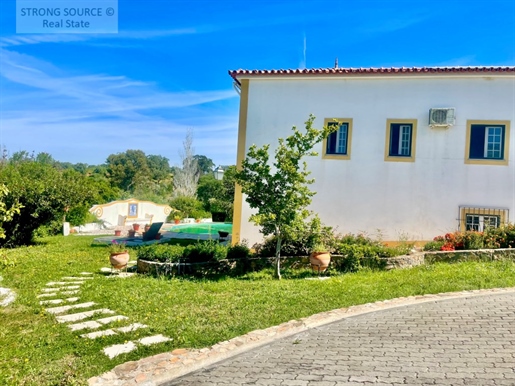 Alentejo Villa palace-style, 774 m2 built, on a 16,800.00 m2 plot, next to a stream, between Montemo