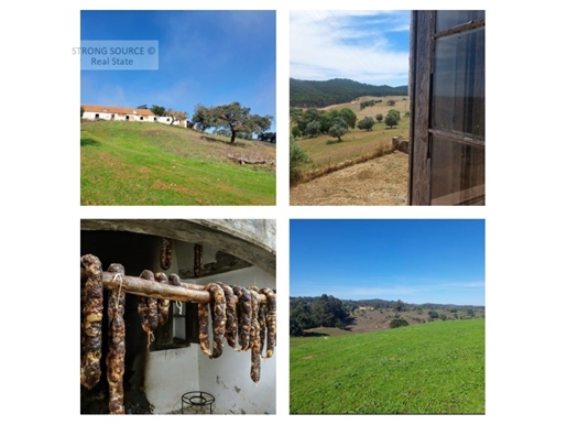 Fantastic Fram with 144 hectares, with good access, ideal for agricultural, industrial investment, h