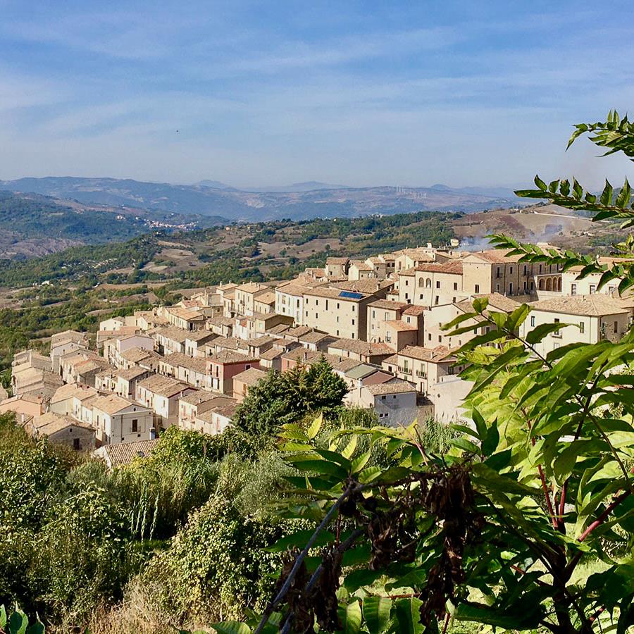 Historic Villa And Profitable B&B For Sale In Italy