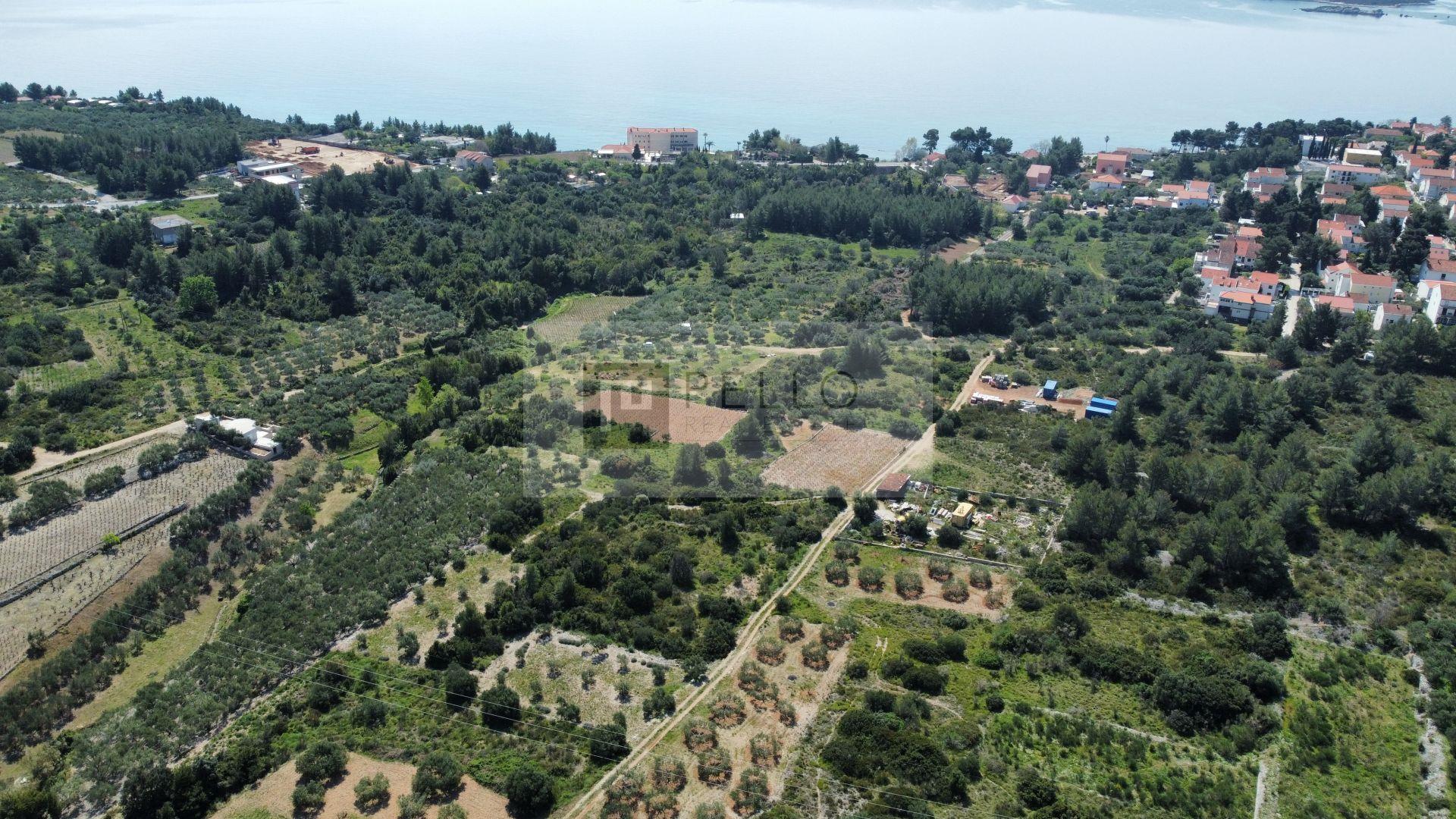 Large Land with a view surrounded by a Mediterranean forest (near the beach) Orebic Peljesac
